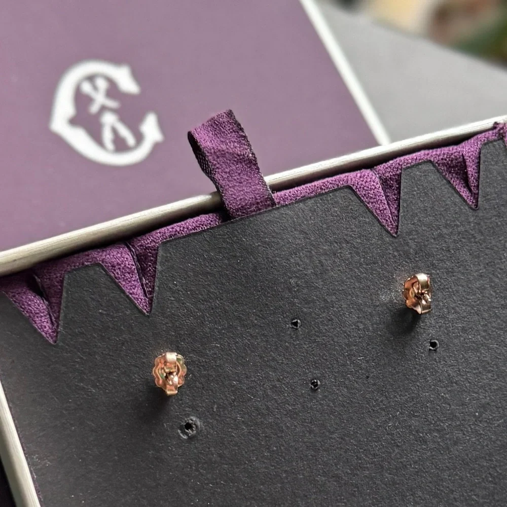 🔆 CHARRIOL Forever Slim steel earrings - Picture 2 of 4